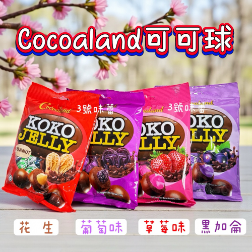 慧鴻-Cocoalan可可球 (花生/葡萄乾/草莓/黑加侖) 110克/袋 (原封包) 奶素