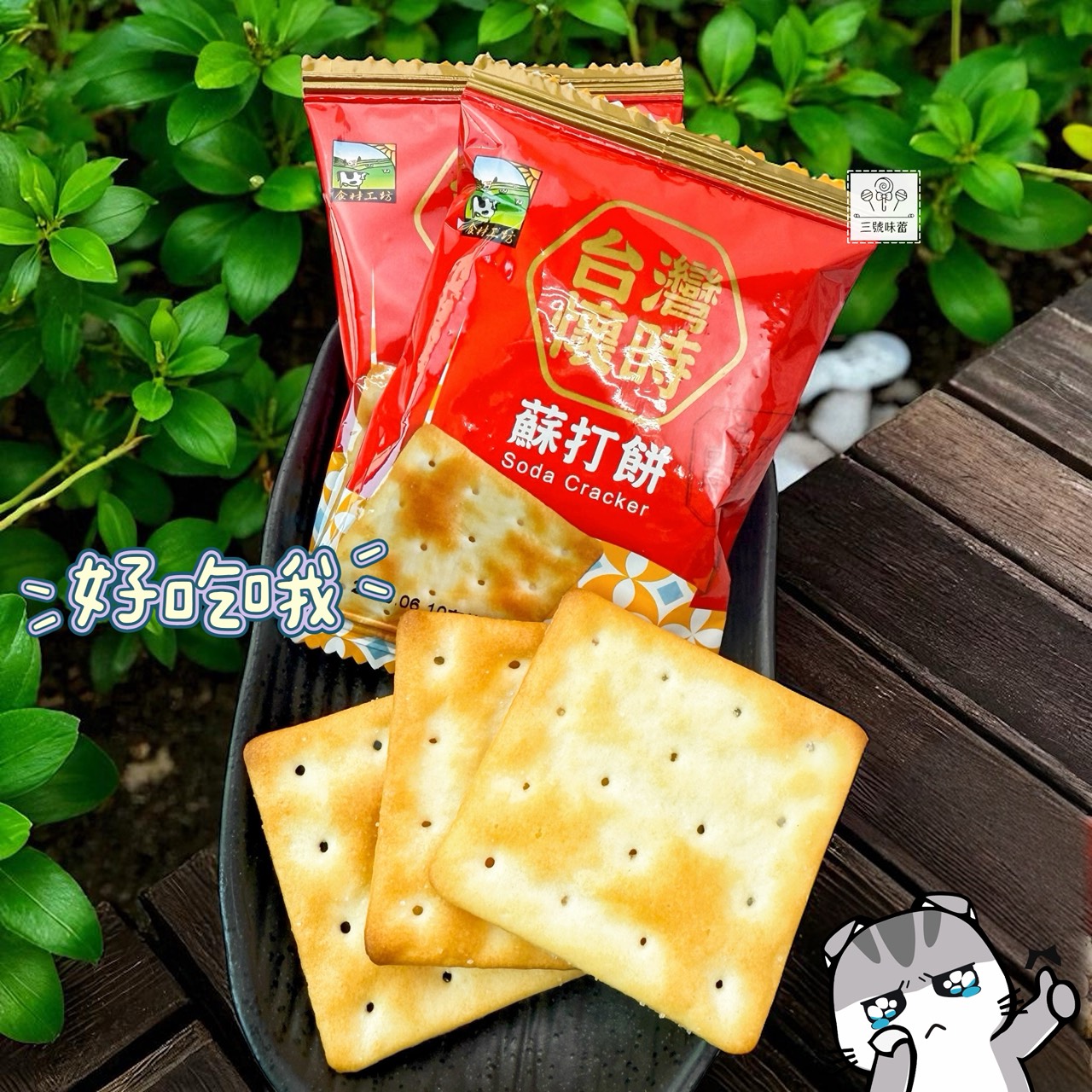 甲賀 台灣懷時蘇打餅 (全素)